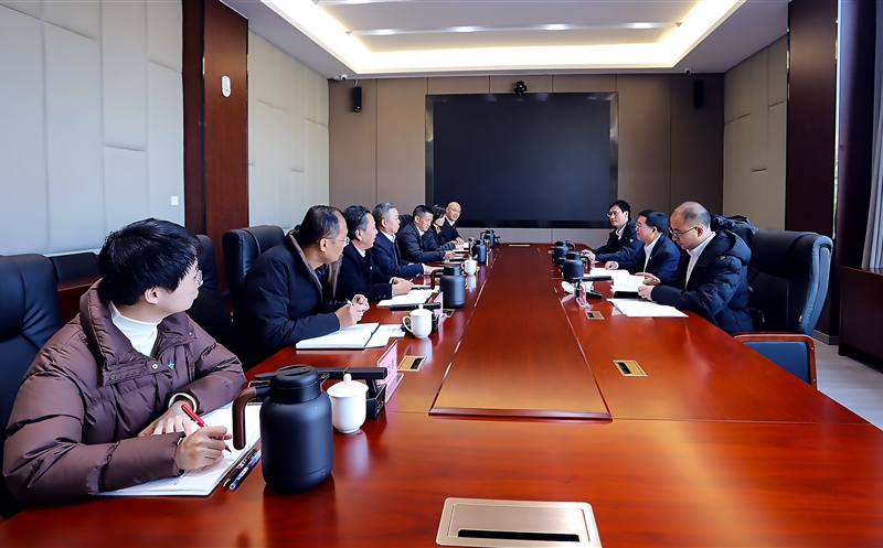 集团向导赴攀西公司调研指导