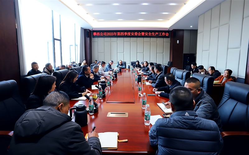 攀西公司召开第四序度安委会聚会暨清静生产事情会