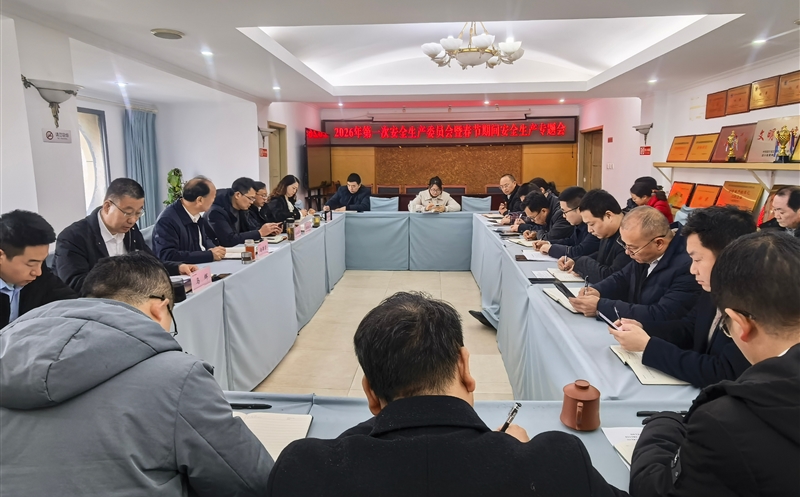 严守清静防地，，，，平安喜迎新年——测绘公司召开2026年第一次安委会暨春节时代清静生产专题会