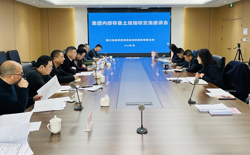 锚定战略协同，，激活存量价值——流转效劳公司召开集团内部存量土地指标交流座谈会