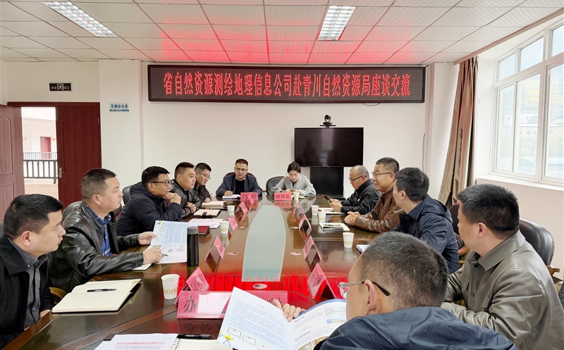 测绘公司向导赴广元开展营业交流与调研指导