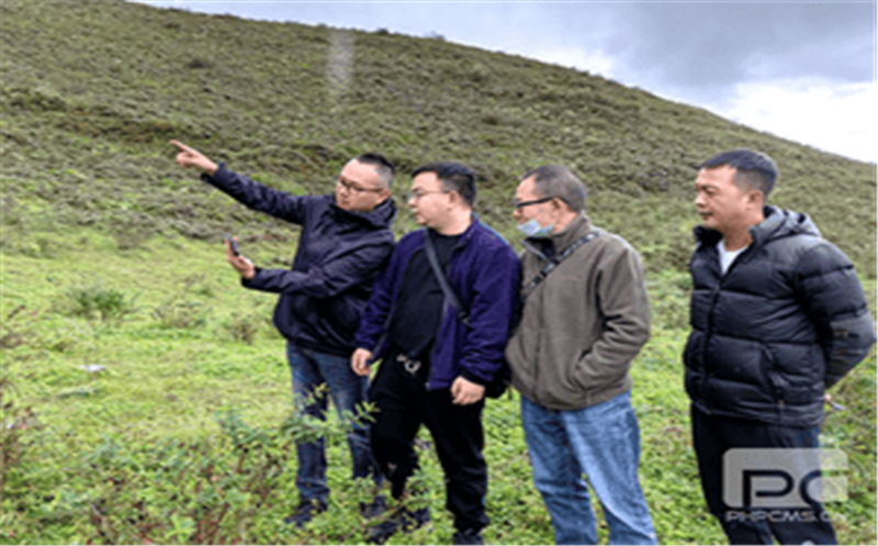 聚焦集团主业 效劳资源流通（一）深入甘洛县开展玄武岩项目现场踏勘