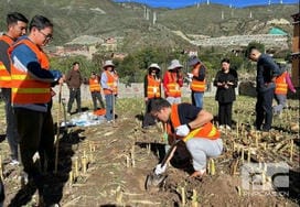 js6666zs金沙(中国游)有限公司官网