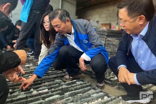 地矿集团下属单位地调所肩负的攀西槽上——营盘山有数稀土找矿靶区查证工程项目野外验收喜获优异