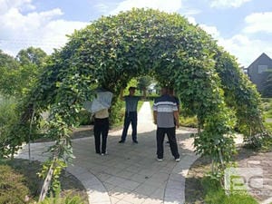 js6666zs金沙(中国游)有限公司官网