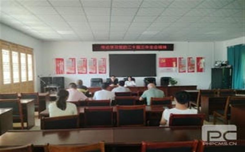 学习党的二十届三中全会精神，，，，，华锋钻探助力墟落振兴新征程