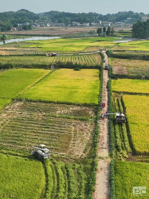 js6666zs金沙(中国游)有限公司官网