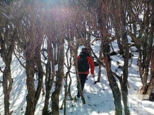 js6666zs金沙(中国游)有限公司官网