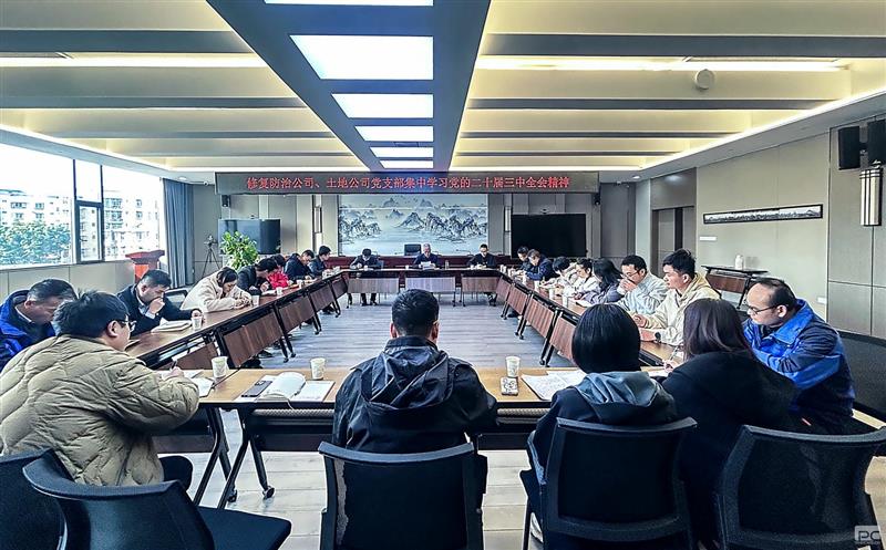 攀西公司下层党组织开展学习党的二十届三中全会精神联学运动 